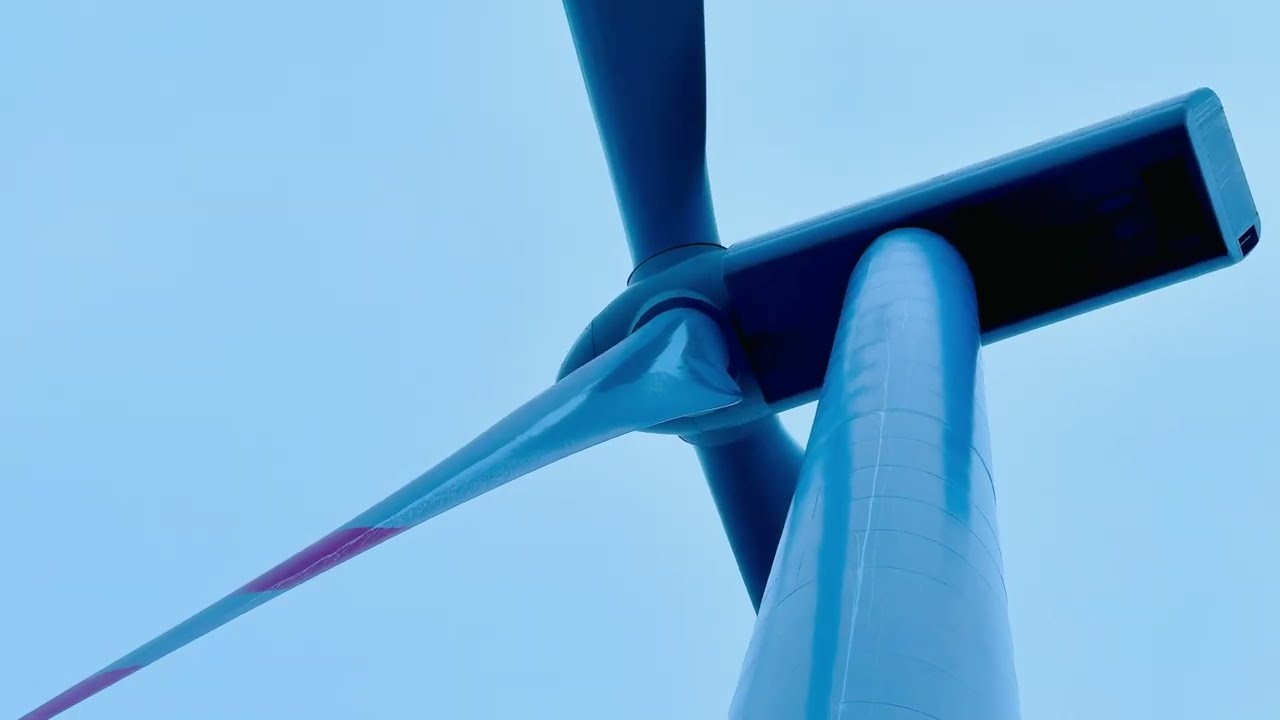 Früher wuchs auf dem Feld grüner Salat 🥬 