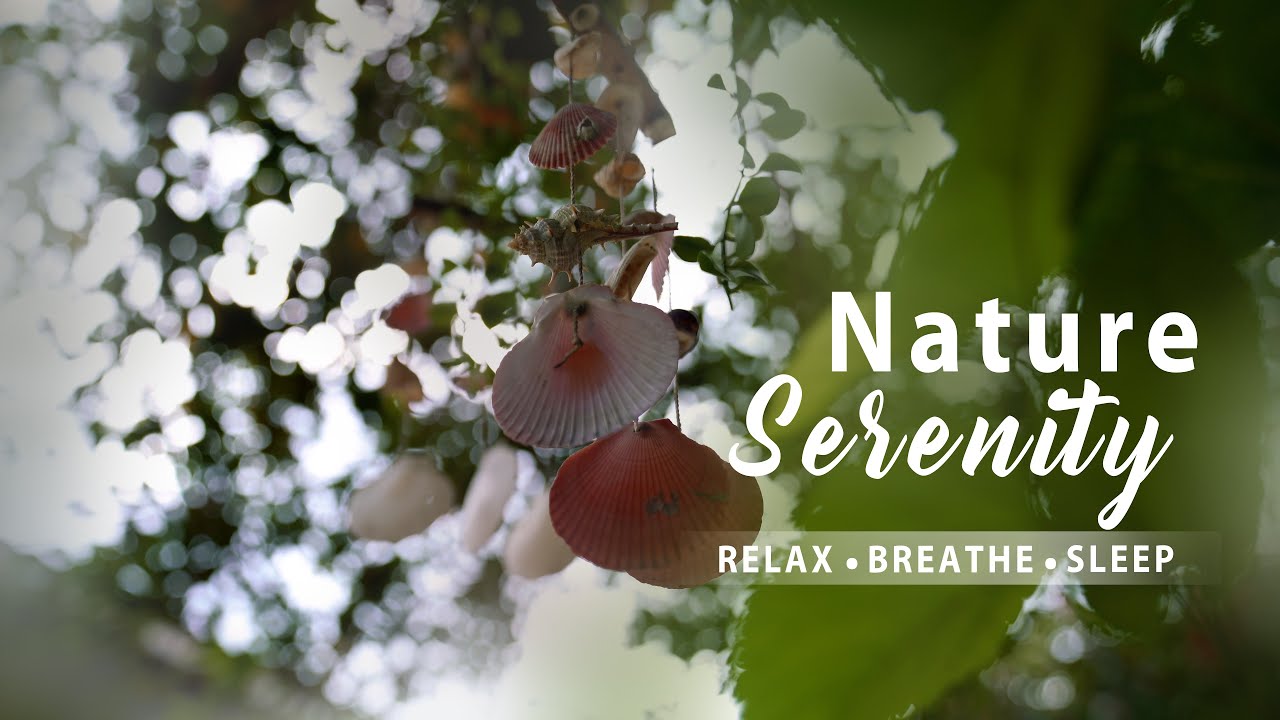 Gentle Nature Serenity 🌿 Relaxing Ambient Sounds for Deep Sleep, Stress Relief & Peaceful Meditation