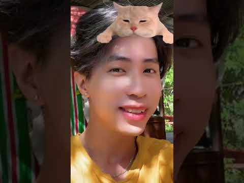 Meomeothaisontran