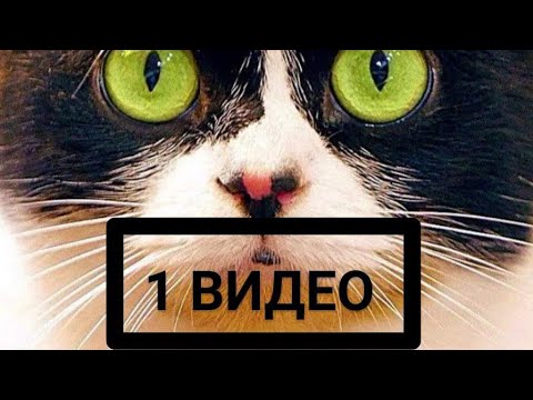 Самое первое видео Сливки Шоу / Trailер boкс