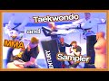 Taekwondo  mma sampler  kicks  flips  ginger ninja trickster