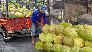How Local Farmers Harvest Tons of Ripe Jackfruits