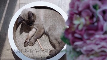 pidan® Cat Scratcher 2 styles