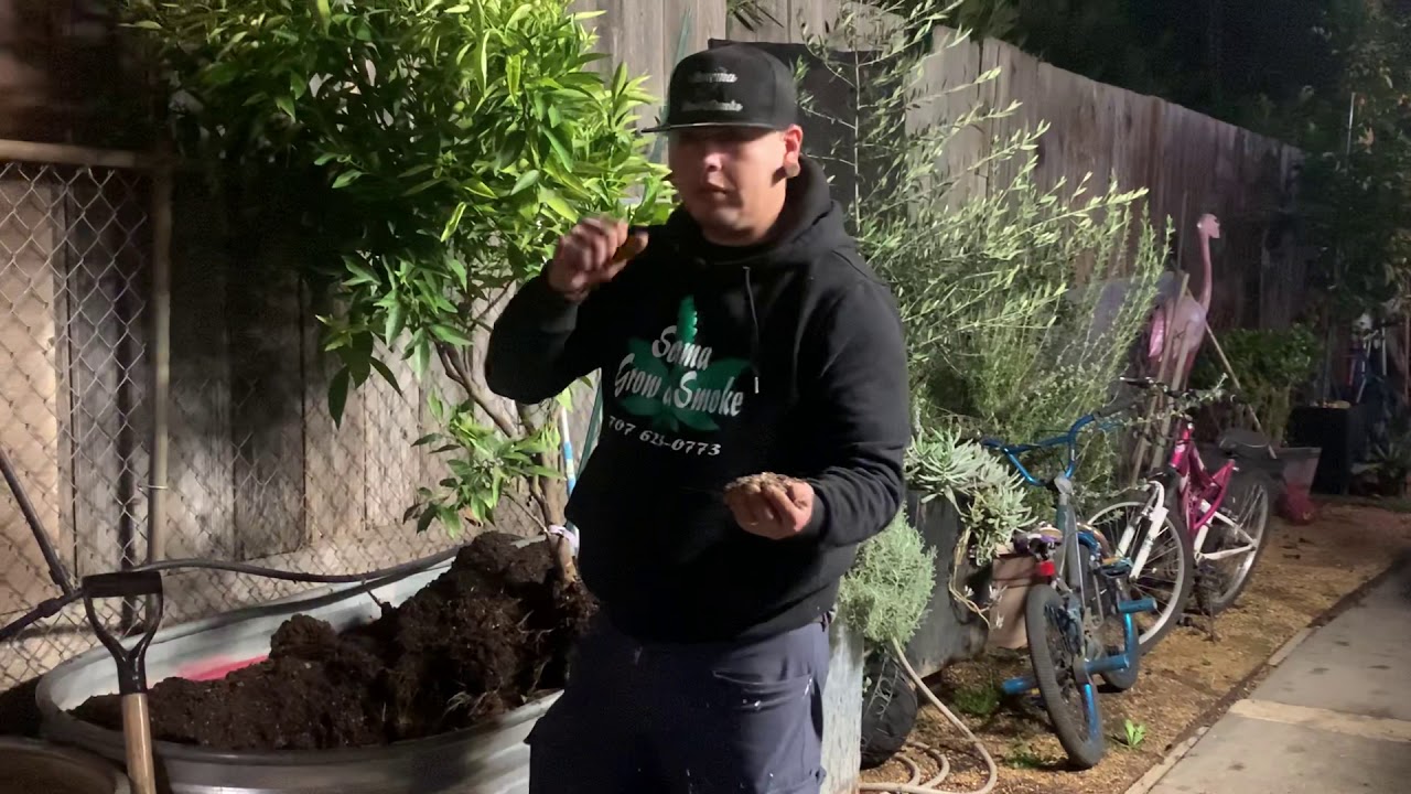 Sohum soil premium mix