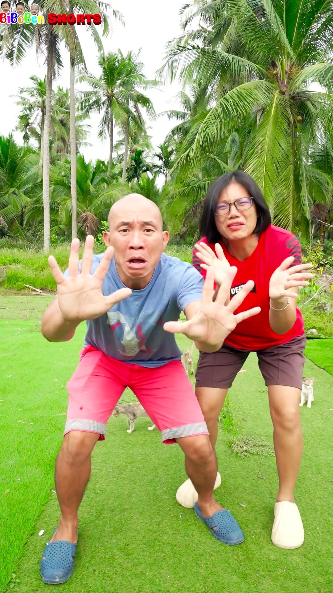 BiBoBen Shorts | Comedy | No No No...?