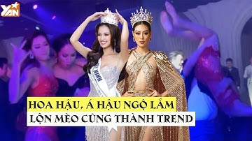 Hoa hậu, Á hậu dạo này lạ lắm: Ngọc Châu, Khánh Vân lộn mèo cũng thành trend, hình tượng gì tầm này