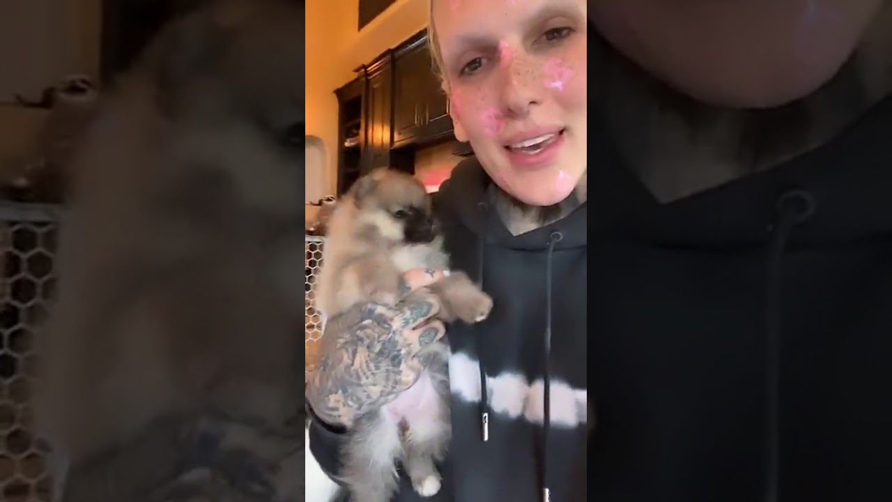 Jeffree Star Live Stream, April 12, 2020
