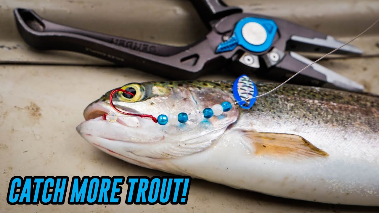 Trout Trolling for Dummies - Fishing World Australia