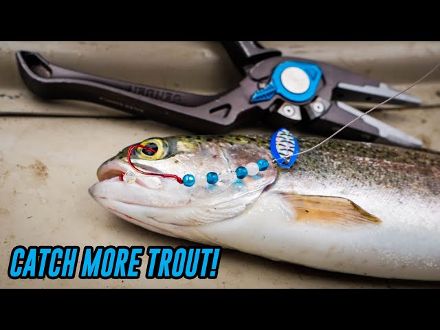 EASY Way To Effectively TROLL For Trout (FISH ON!) 