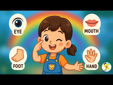 أجزاء الجسم بالإنجليزية مع النطق الصحيح والترجمة جزء تعليم الأطفال    