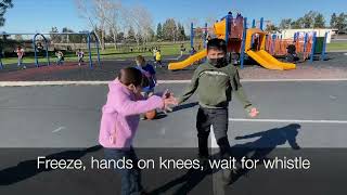 PBIS Matrix-Playground