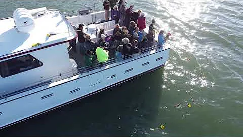 Scattering ashes of Dan Hennessey in the SF Bay