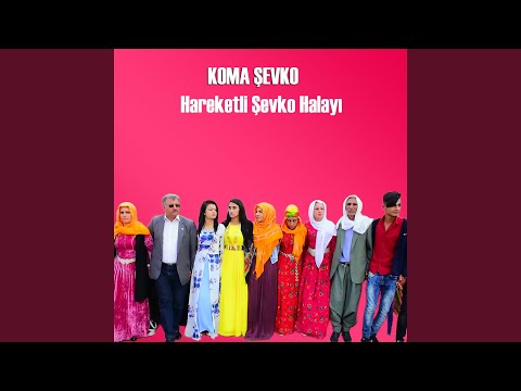 Watch Hareketli Şevko Halayı on YouTube