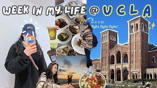 a week in my life @ ucla ! 미국 유씨엘에이 학생 VLOG 💙💛