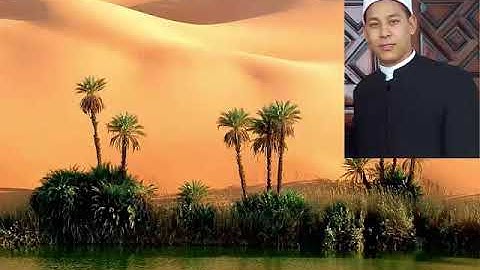 سورة البقرة بصوت القارئ الشيخ عبدالهادى أبو عوض