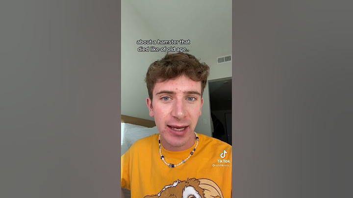 Why Did Your Hamster Died? 🤔 | Tiktok Shorts