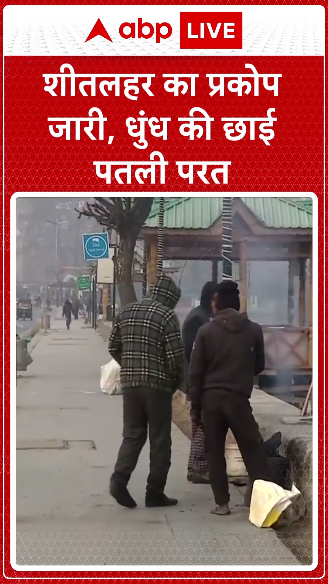Jammu Khasmir Weather: Srinagar में शीतलहर का प्रकोप जारी है धुंध की पतली परत छाई | ABP LIVE| SHORTS