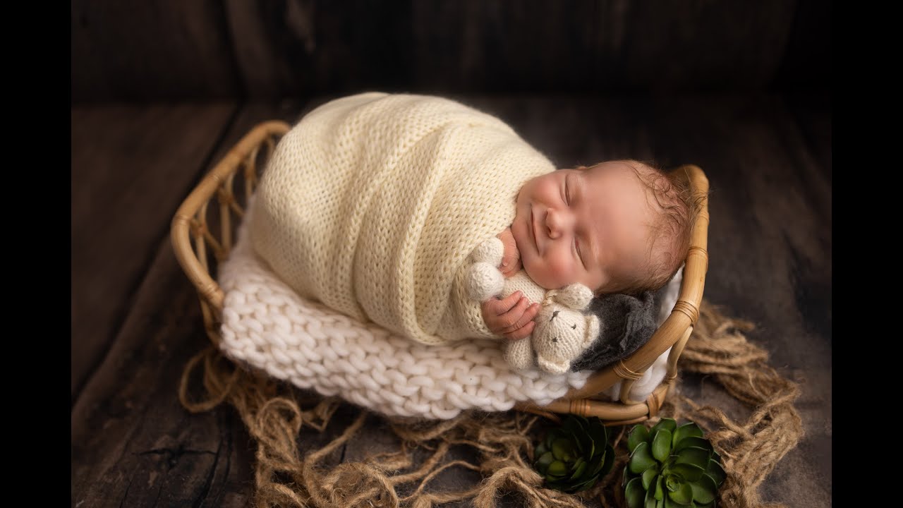 Fenton, Michigan Newborn Photographer: Ollie's Newborn Photos