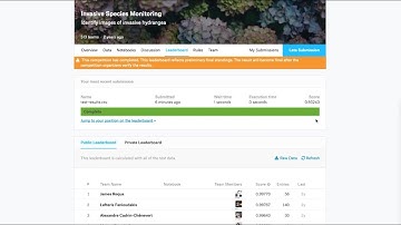 How to compete in Kaggle with automated machine learning