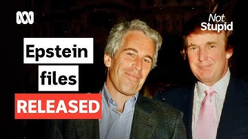 What can we expect in the Epstein files? | Not Stupid