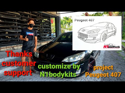 project Peugeot 407