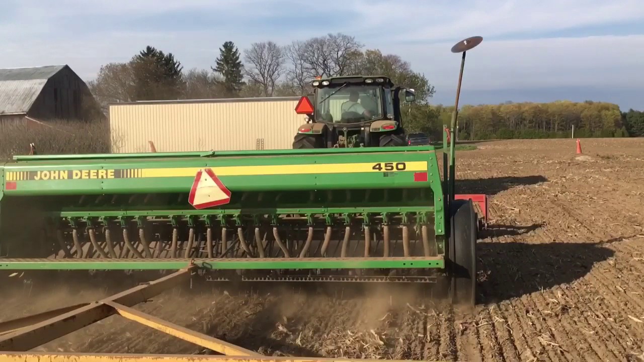Canola Plant 2017 