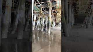 Underneath the Santa Monica pier….#shorts #travel #adventure #shortvideo Net Worth