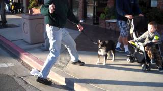 curb boundries with maggie.