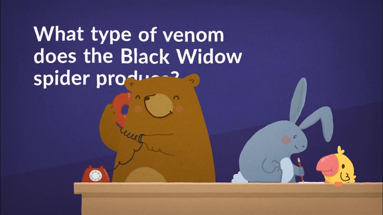 First Aid Study Guide (Test Questions, Practice & Tips) YouTube