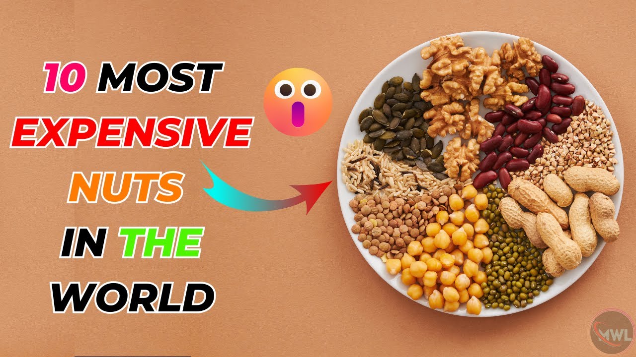 Top 10 Most Expensive Nuts in the World - YouTube