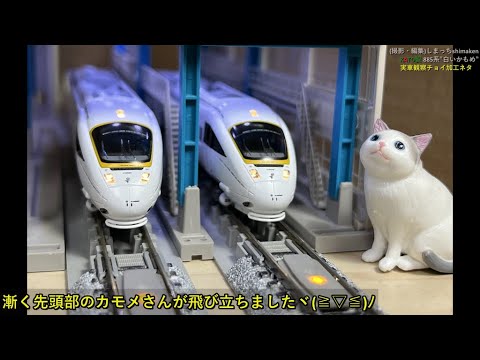 Nゲージ 鉄道模型】KATO製 885系 黄帯“白いかもめ”をチョイ加工してみ