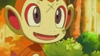 Chimchar Wants A Little More