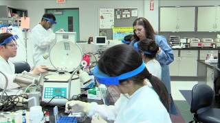 Sandra Tijerina- UTPA Faculty Excellence Award in Service