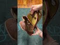 Boulet Men's Bomber and Ambergold Square Toe Boot