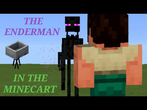 Enderman Cart-Mate!? | The Very Successor to Tobuscus's Enderman Roommate Video! 