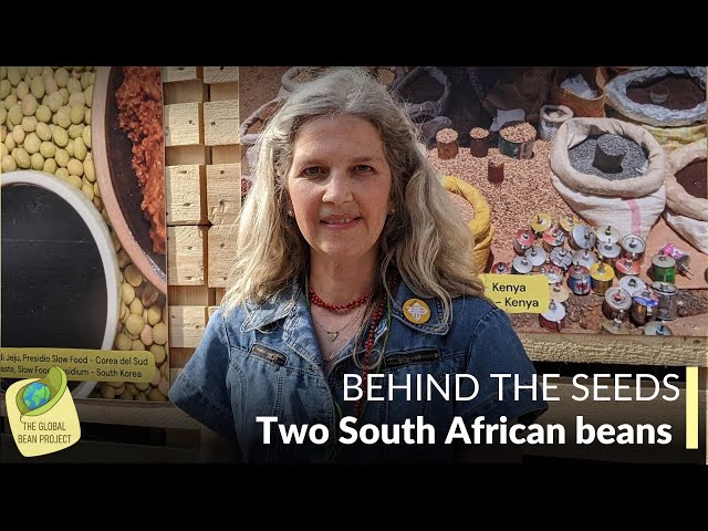 Behind the Seeds | Jugo Beans and Black Cowpeas (South Africa)