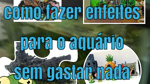 Como decorar um aquário de peixes?