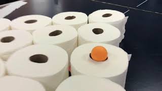 Toilet Paper Pong