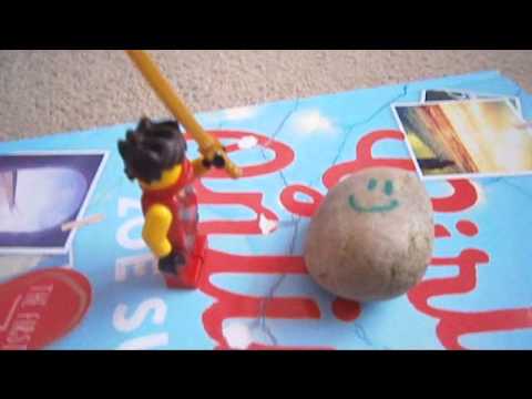 How to train and care for your pet rock