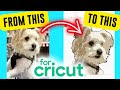 How to turn a picture into an svg for free  how to create an svg file cricut tutorial for beginners