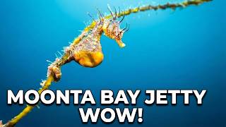 Moonta Bay Jetty what a nice surprise