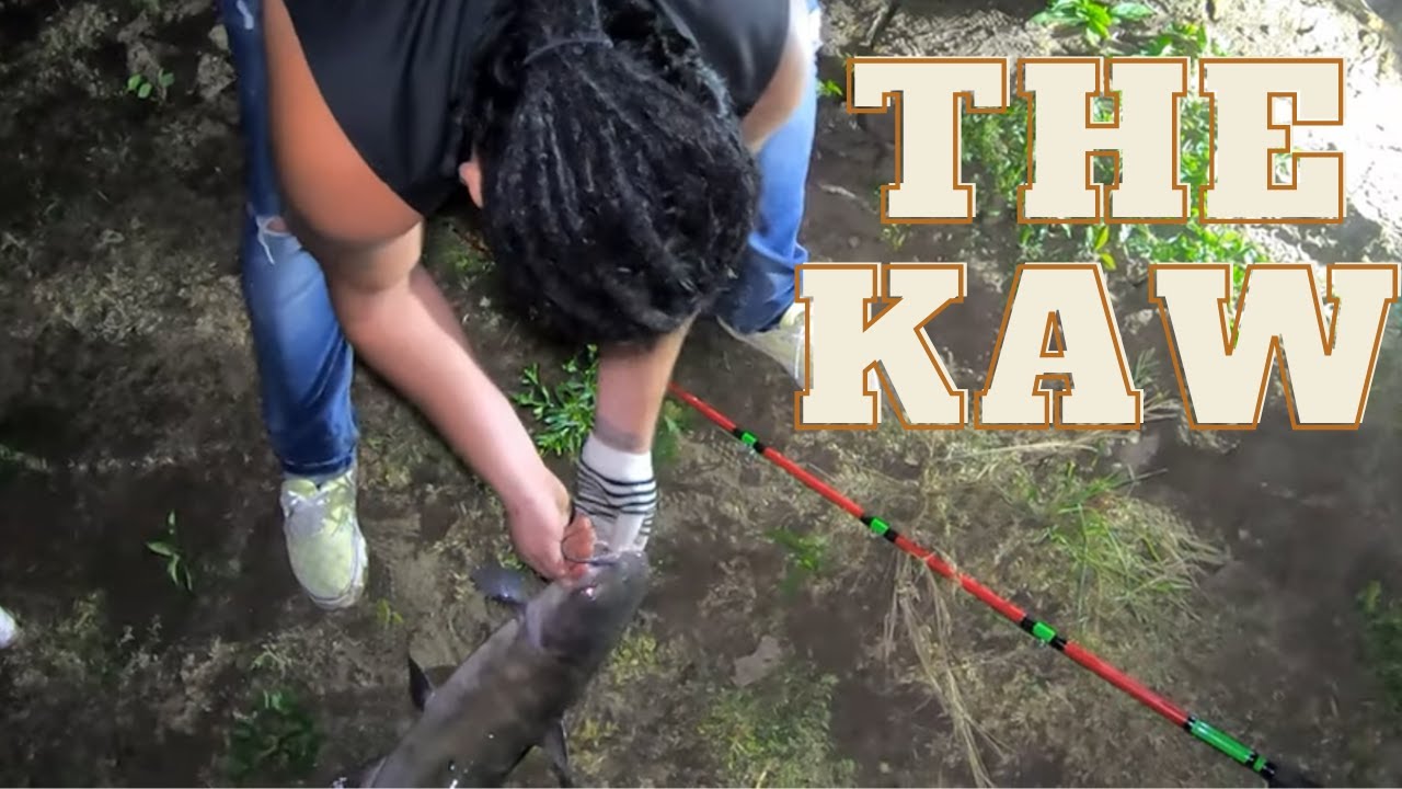 Catfishing From Island on the Kansas River fishing fish catfish 