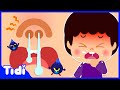 Kids Good Habits Song Compilation | Nursery Rhymes &amp; Kids Songs
