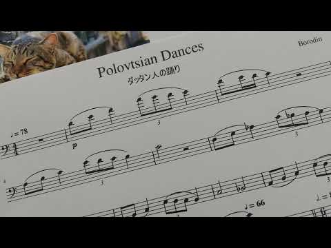 ボロディン「ダッタン人の踊り」チェロ演奏用 / Borodin
