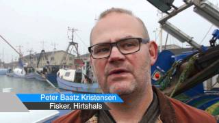 Nye typer fisk i Danske farvande