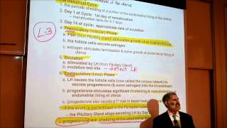 BIOLOGY; REPRODUCTIVE SYSTEM; PART 2 by Professor Fink.wmv