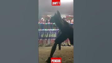 PENCUG BAJIDOR JAIPONG KEMERDEKAAN