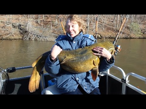 43 lb catfish on a one hour cat fishing trip 