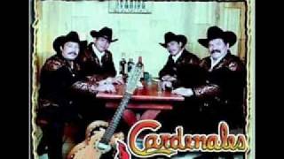 Los Cardenales de Nuevo Leon-Por Tanto Que Sufri