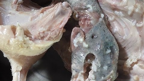 "Cháo Vịt Ăn Cùng Gỏi Cây Chuối Non " Đặc Sản Của Người Miền Tây